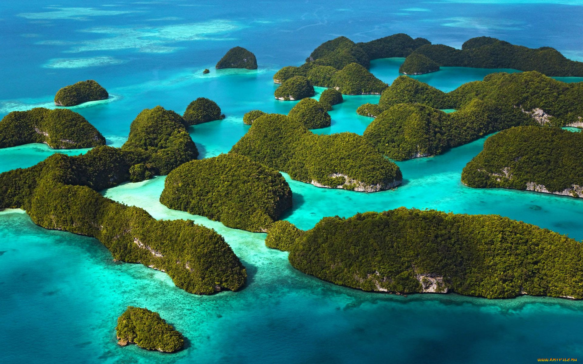 Группа островов расположенных в тихом океане. Острова Раджа-Ампат. Архипелаг Раджа Ампат Индонезия. Коралловый риф Раджа-Ампат. Архипелаг Галапагосские острова.